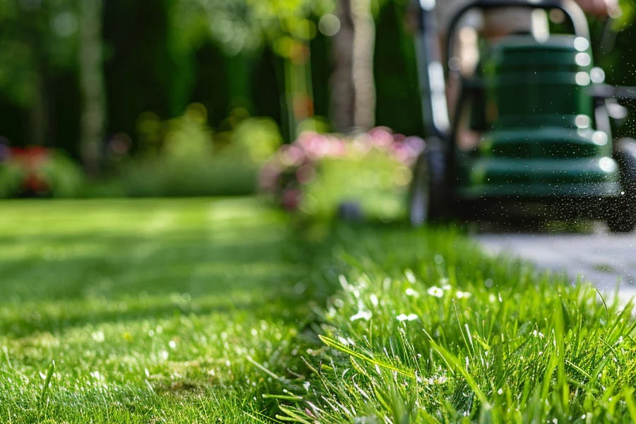 electric grass cutter